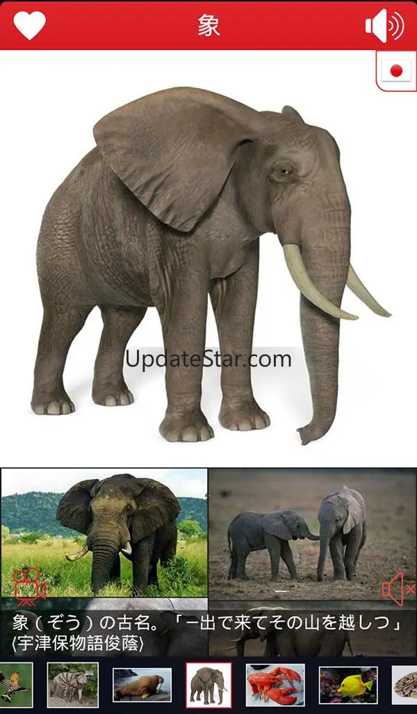 Animals For Kids