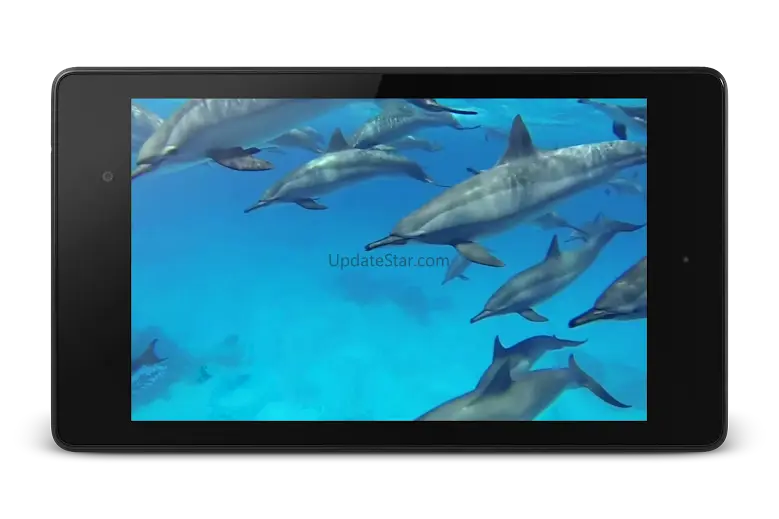 Dolphins +Sound Live Wallpaper 4.0