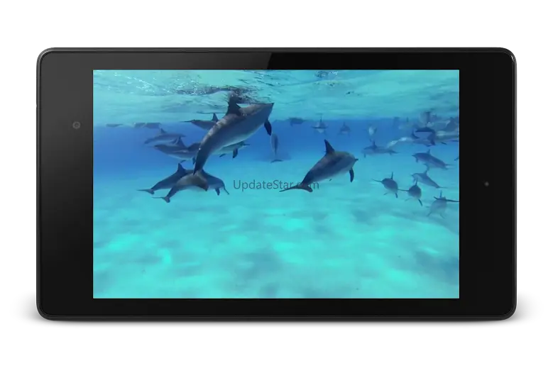 Dolphins +Sound Live Wallpaper 4.0