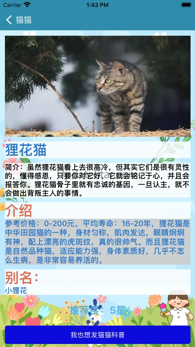CatRoom - For Your Beloevd Cat 1.0