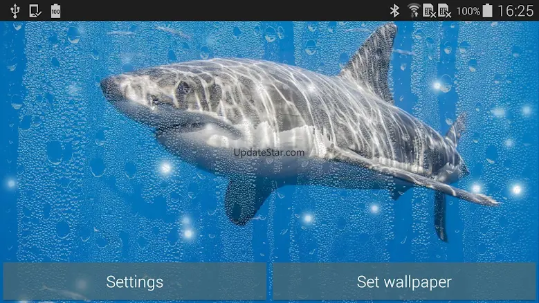 Shark Live Wallpaper 1.1