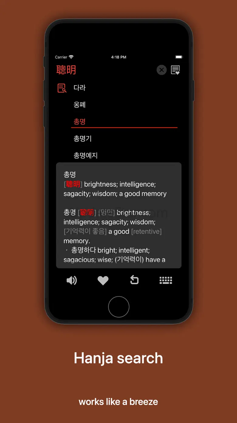 KoEnDic 한영/영한 사전 8-in-1 4.1.2