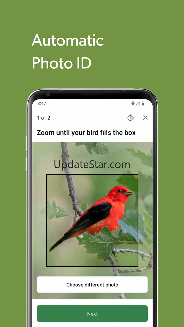 Merlin Bird ID by Cornell Lab 3.1.1