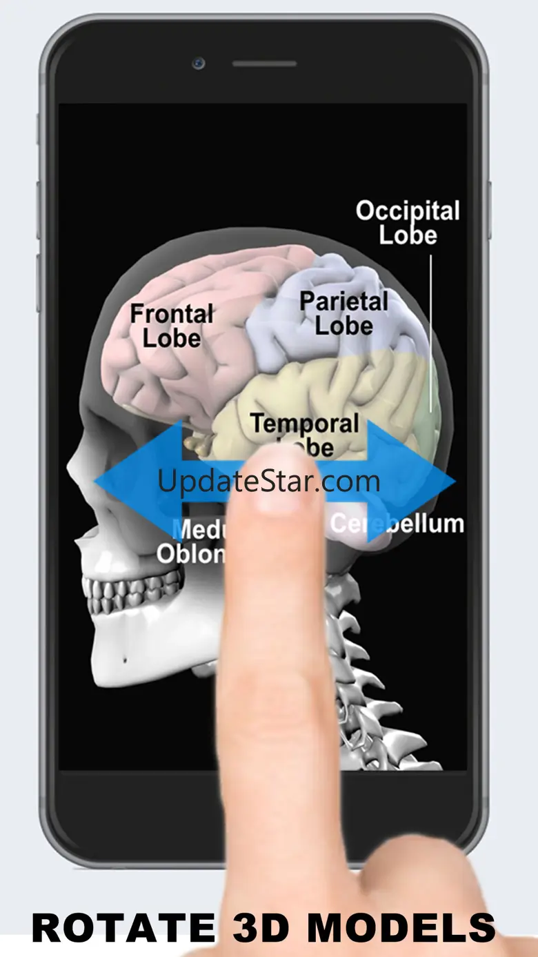 Anatomy 3D - Organs 1.1
