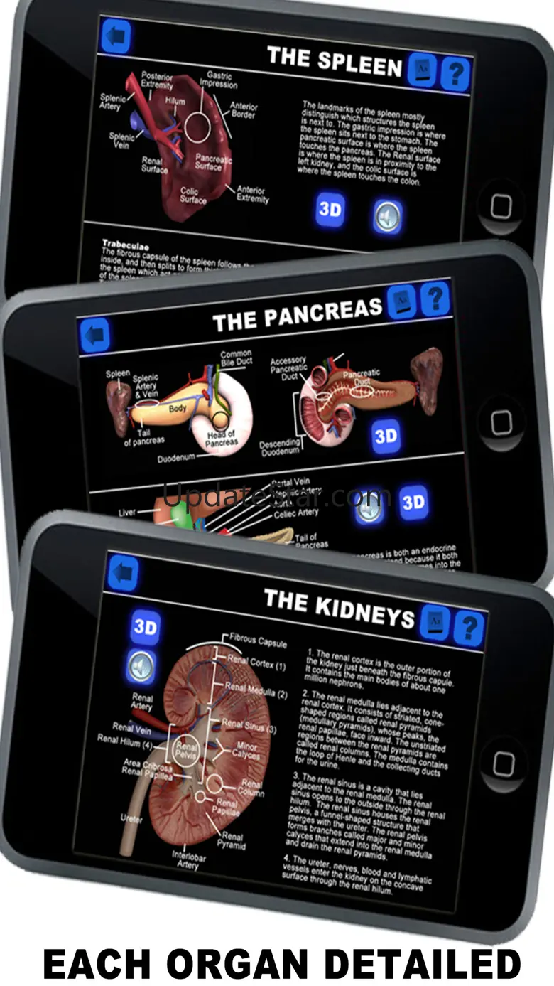 Anatomy 3D - Organs 1.1