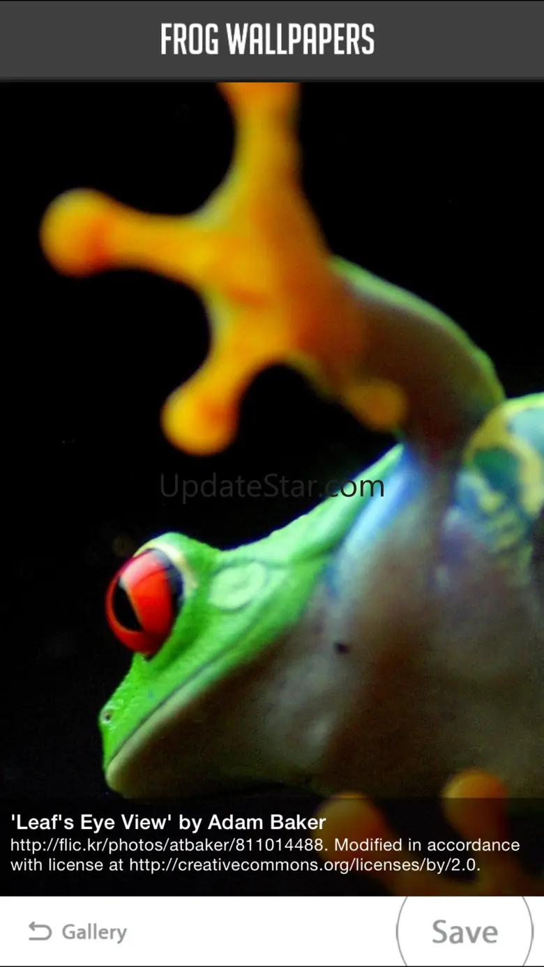 Frog Wallpapers 1.0