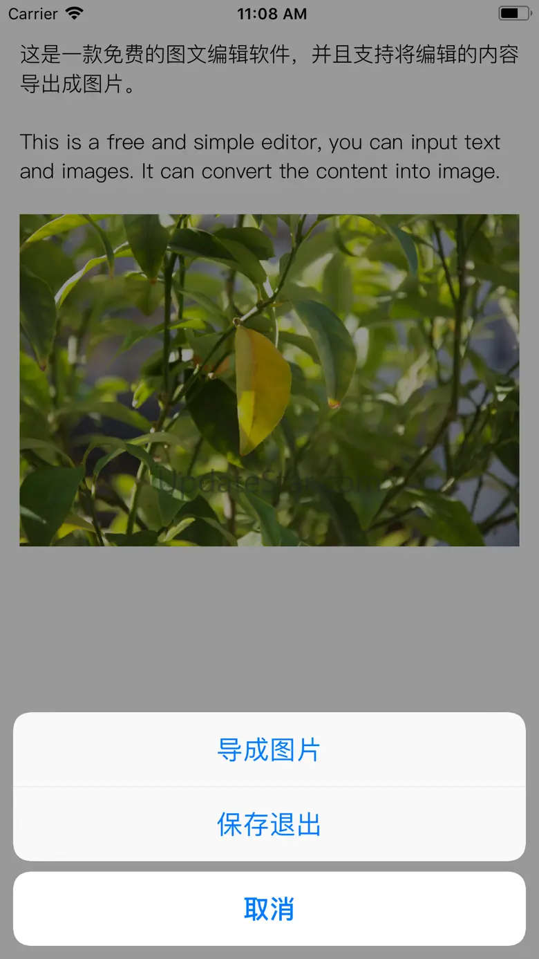 cova 1.9.1