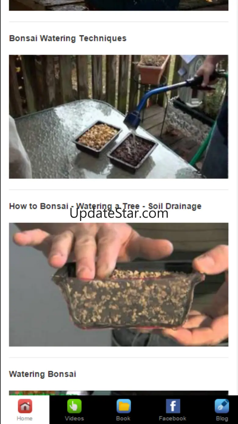 Bonsai Basics - Learn All About Growing Bonsai Trees 1.1