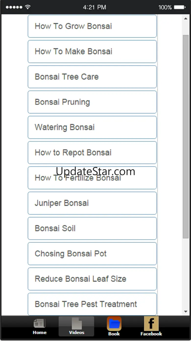 Bonsai Basics - Learn All About Growing Bonsai Trees 1.1