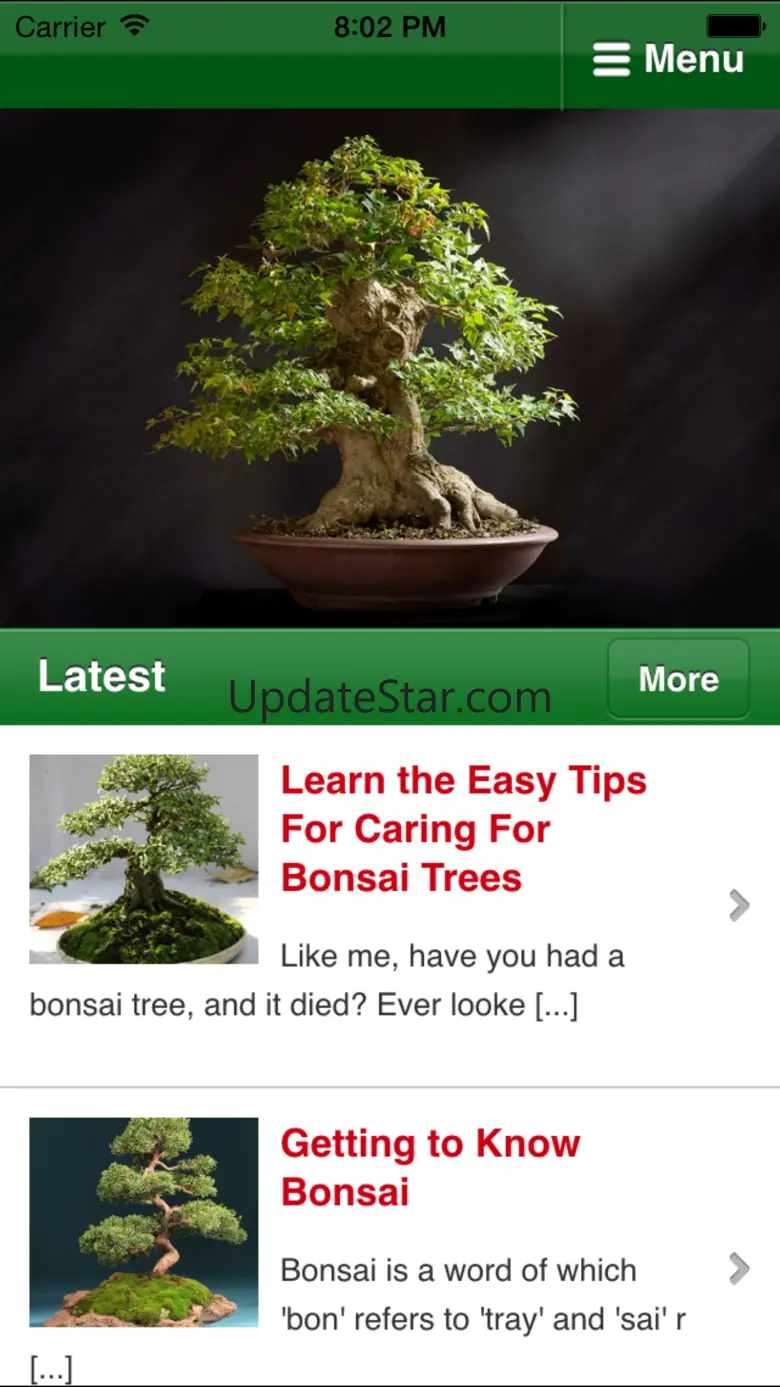 Bonsai Basics - Learn All About Growing Bonsai Trees 1.1