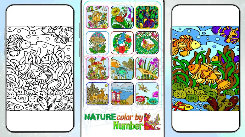 Nature Color by Number Book 3.1