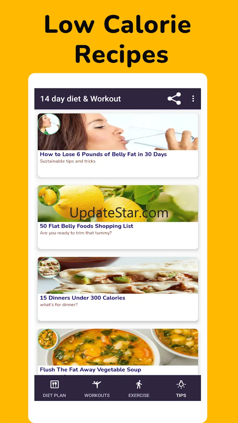 14Day Diet Plan-lose belly fat 9.9.32