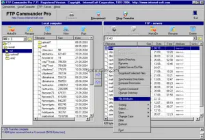 FTP Commander 8.010