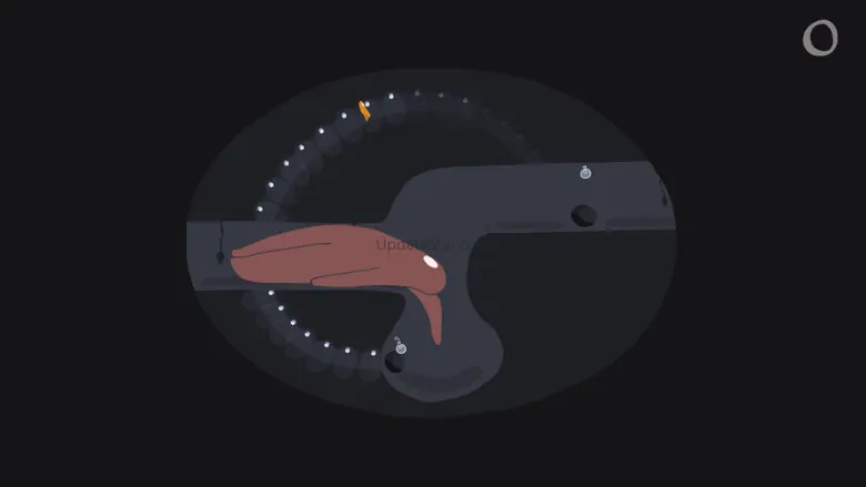 The Bear 1.2.0