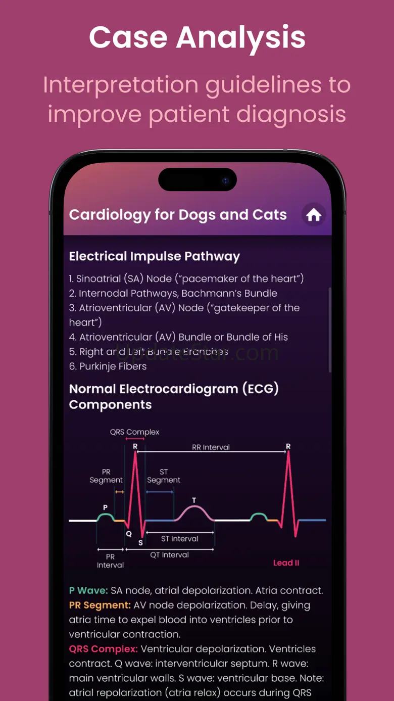 Vetpocket 2.4