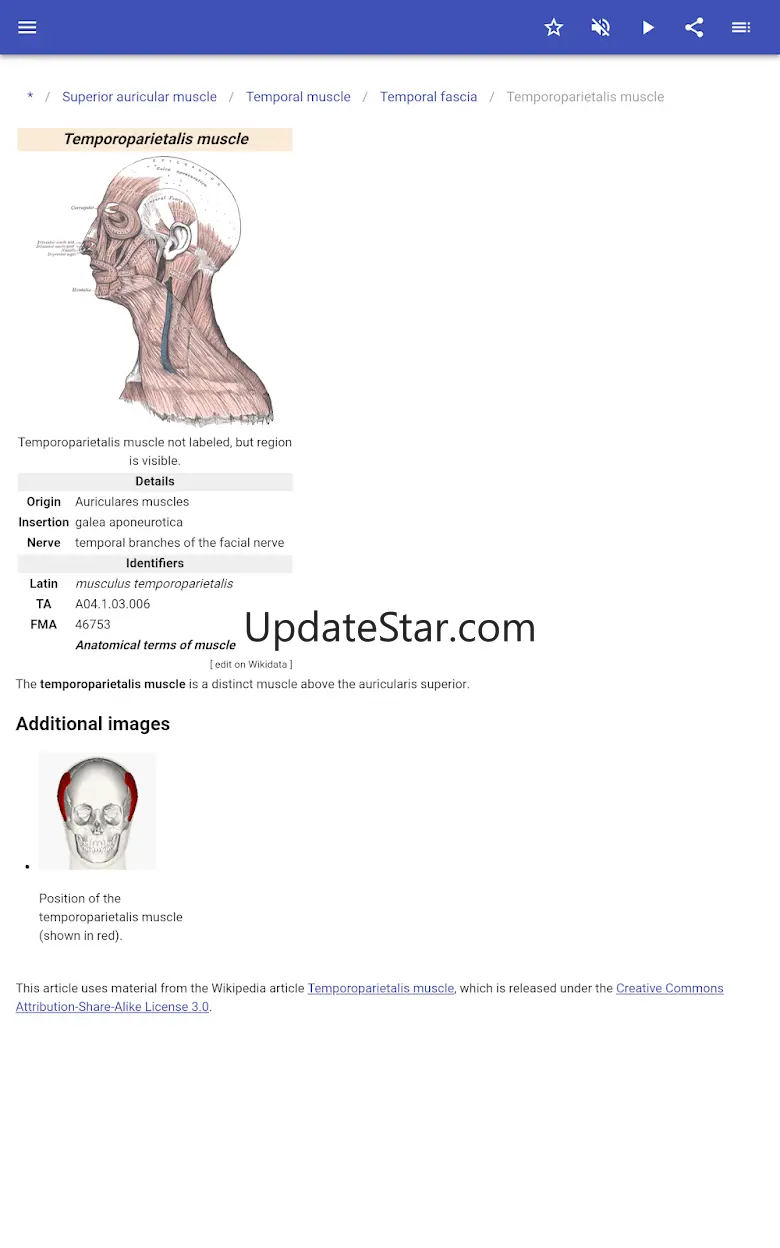 Muscular system 80.91.30