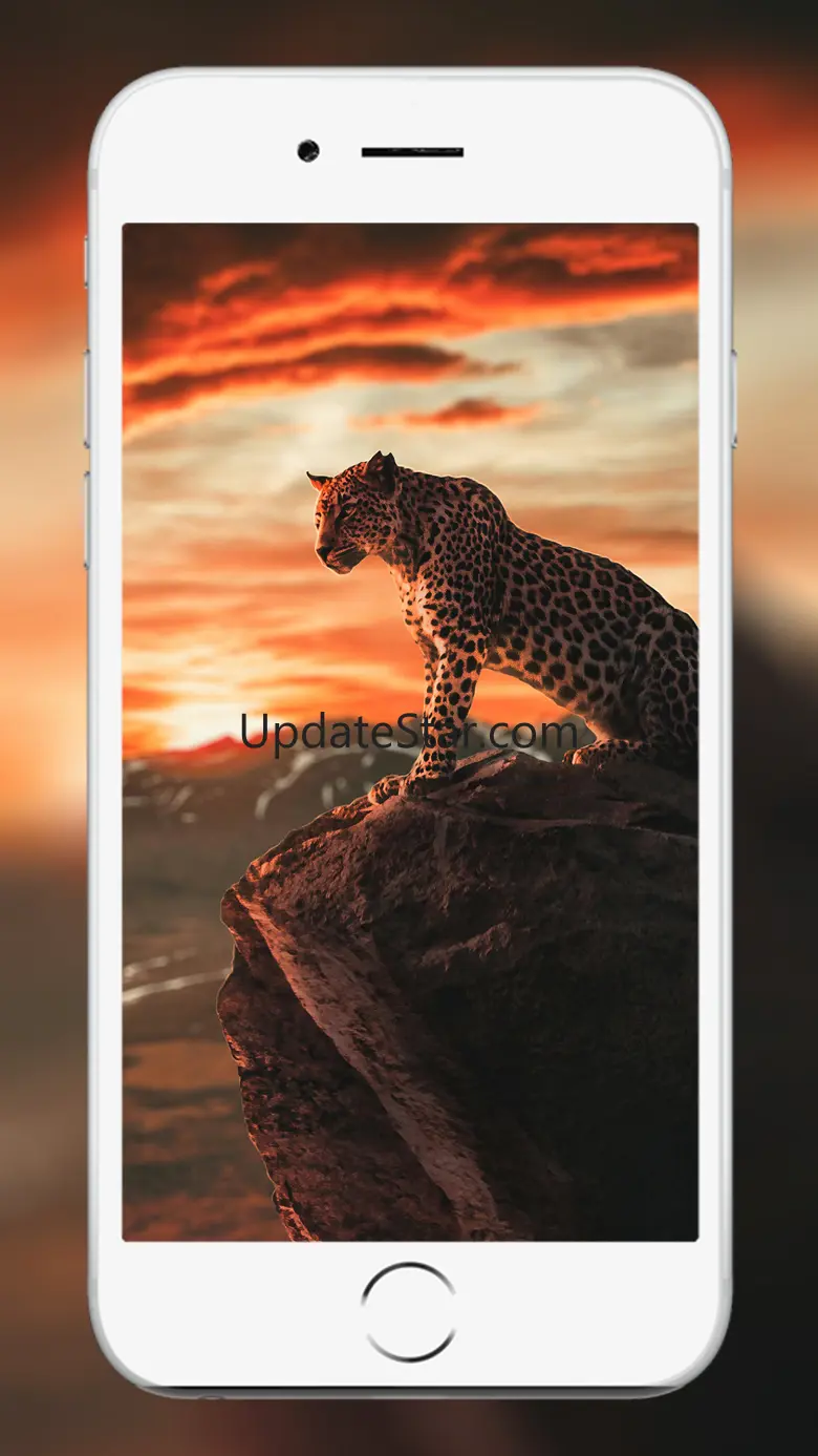 Lion Wallpaper and backgrounds 1.2.1