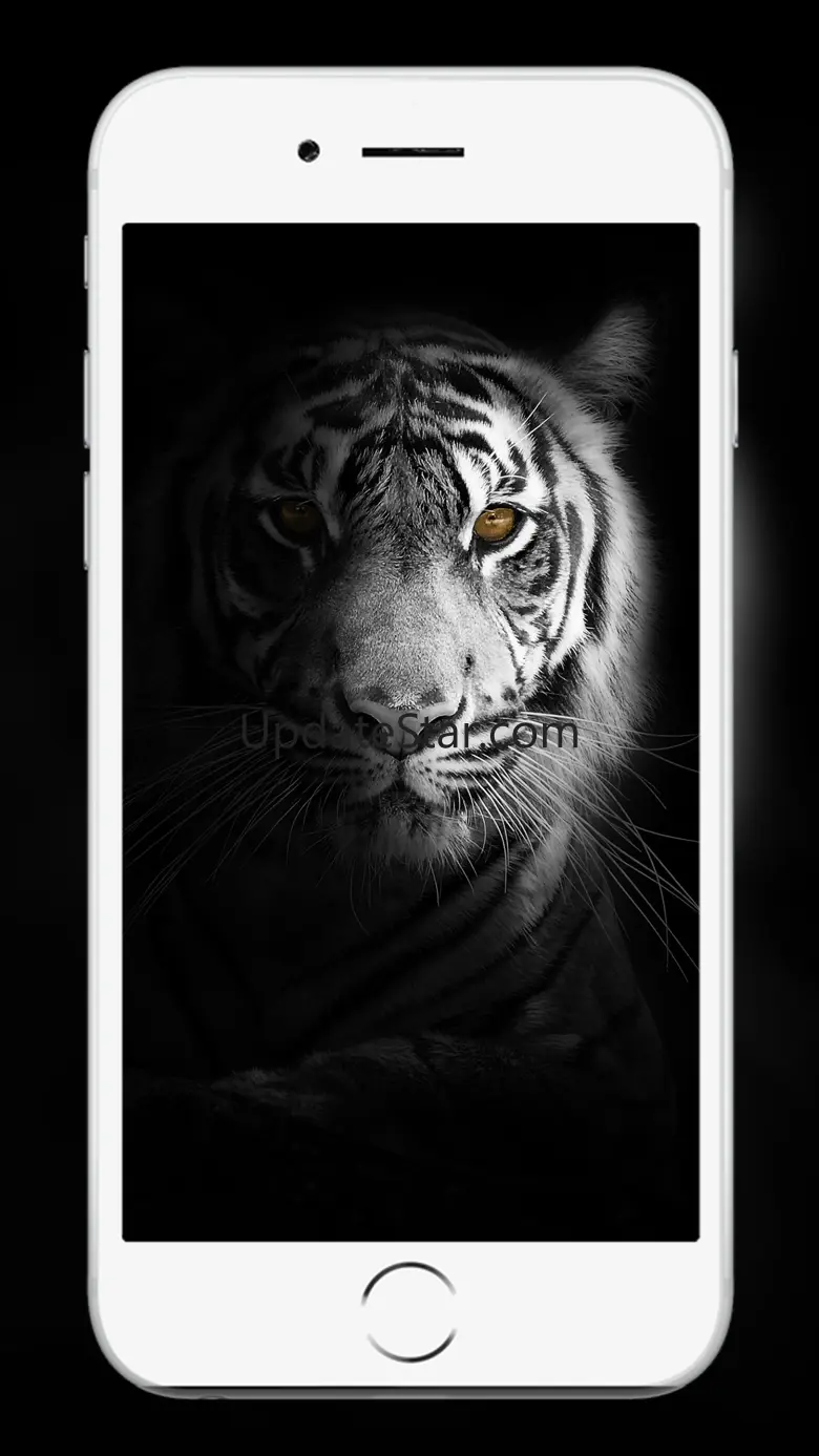 Lion Wallpaper and backgrounds 1.2.1