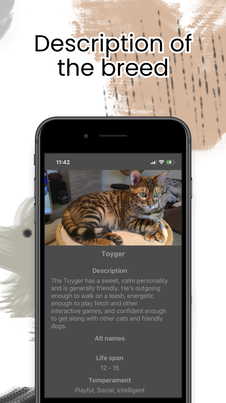 Cat Breeds - Cat Encyclopedia 1.0