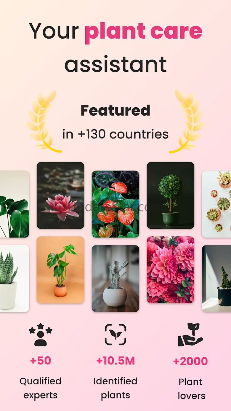 PlantIn: Plant Identifier Hero 2.9.0