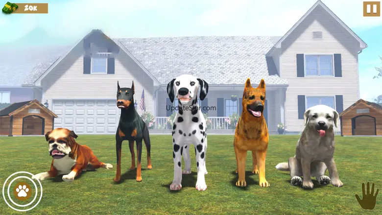 Animal Shelter Dog Simulator 2.0