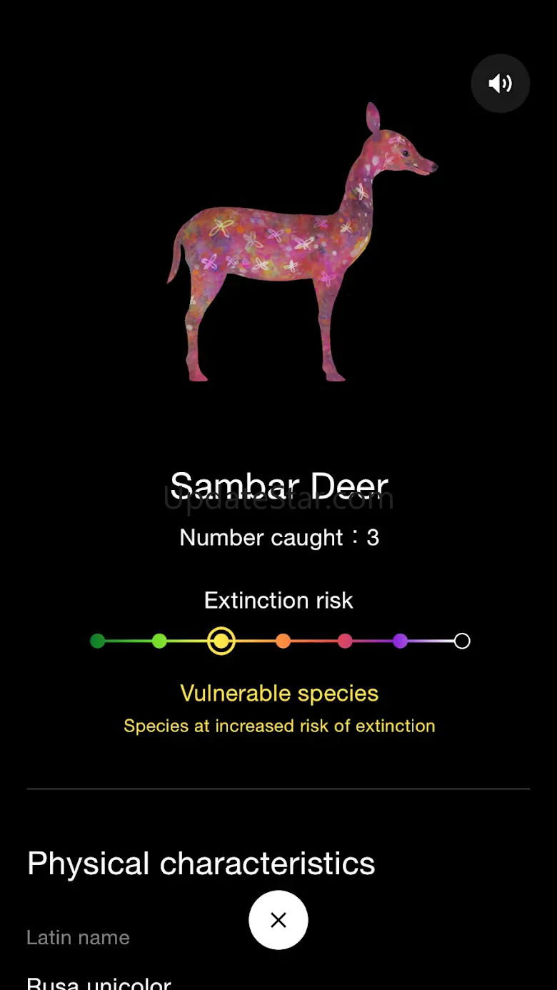 Catching and Collecting Forest 1.2.8