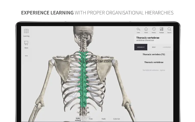 Anatomyka Skeleton 2.0.0