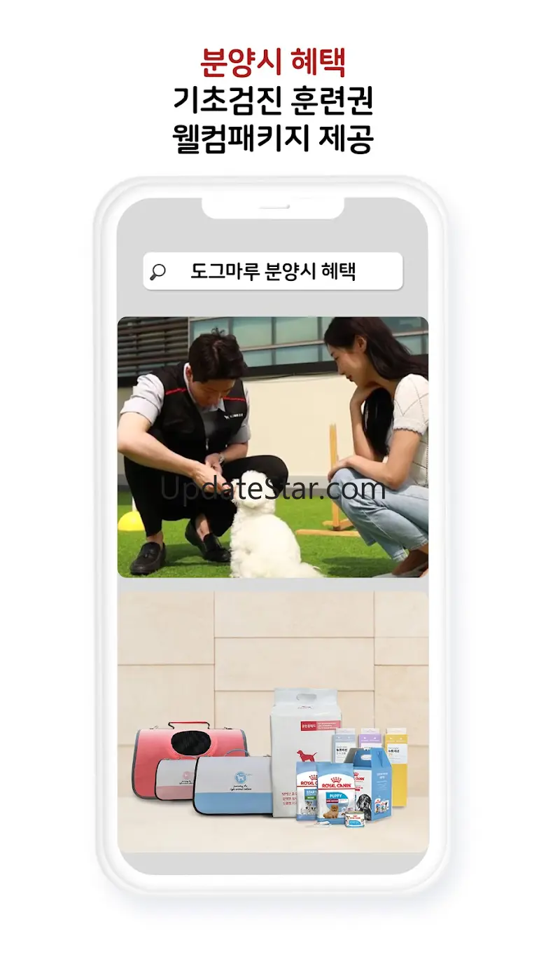 강아지분양 고양이분양 도그마루 애견분양 최저가분양 11.1.0