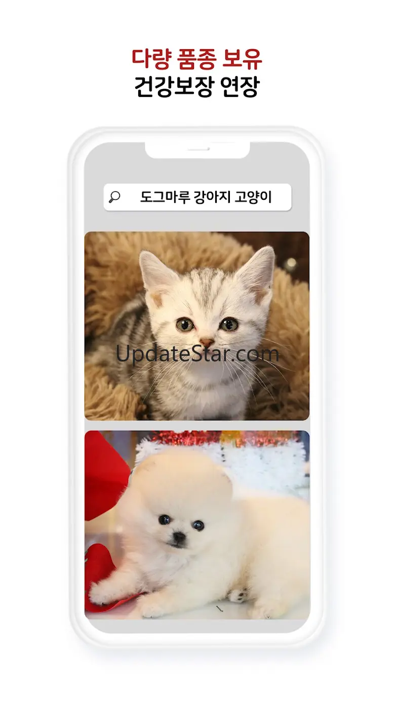 강아지분양 고양이분양 도그마루 애견분양 최저가분양 11.1.0
