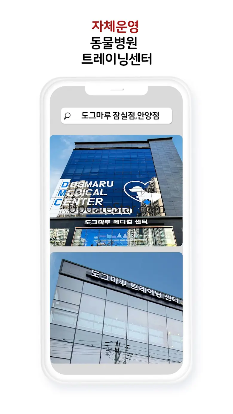 강아지분양 고양이분양 도그마루 애견분양 최저가분양 11.1.0