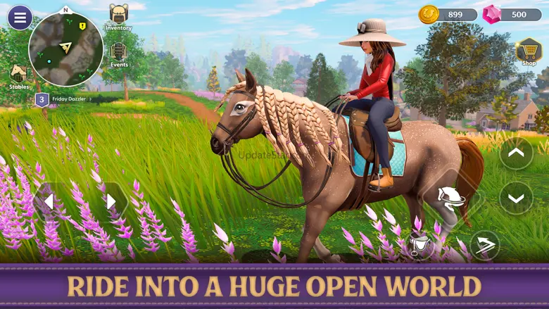 Star Equestrian - Horse Ranch 47