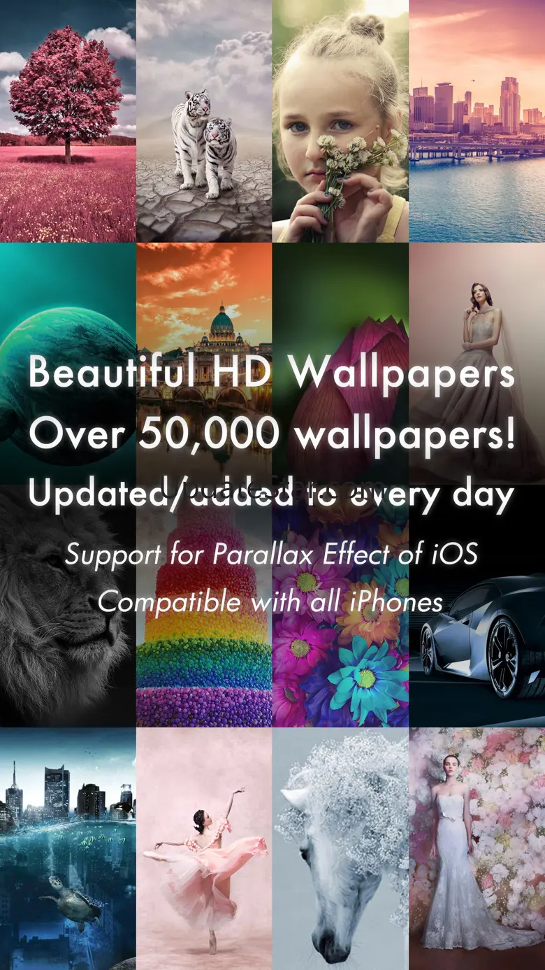 Beautiful 4K/HDR Wallpapers 1.9.8
