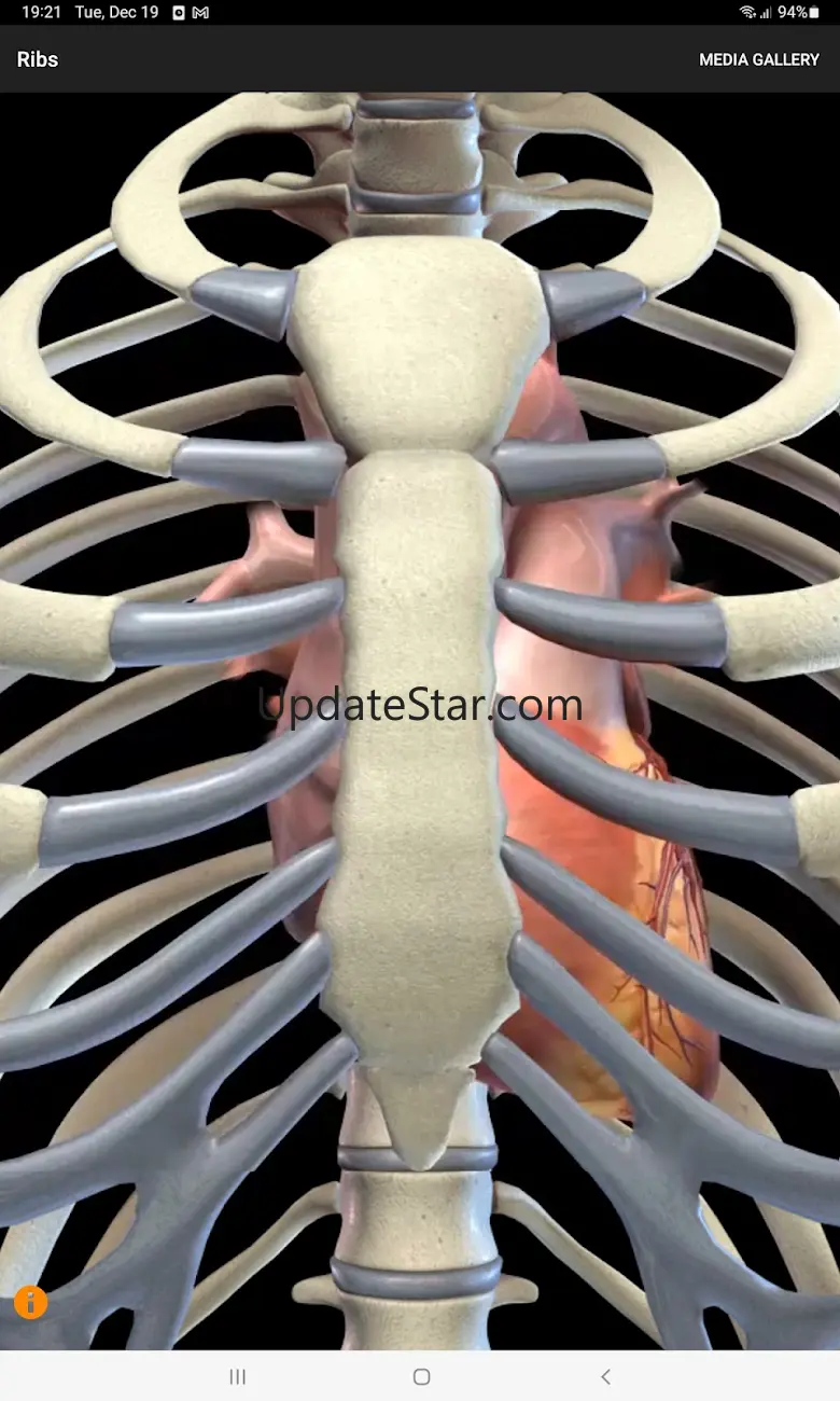 CardioSmart Heart Explorer 3.0