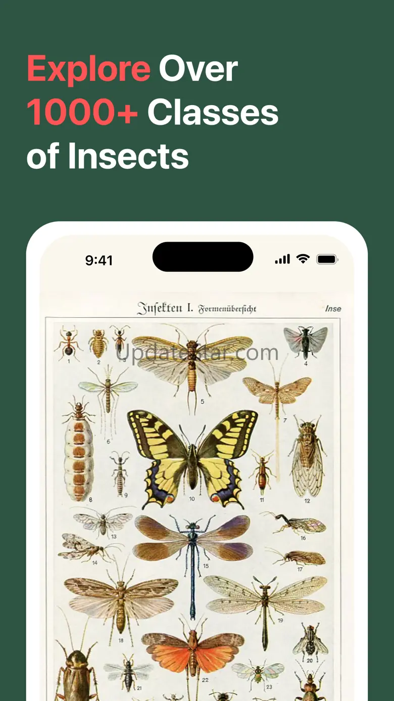 AI Insect Identifier: BugBug 1.2