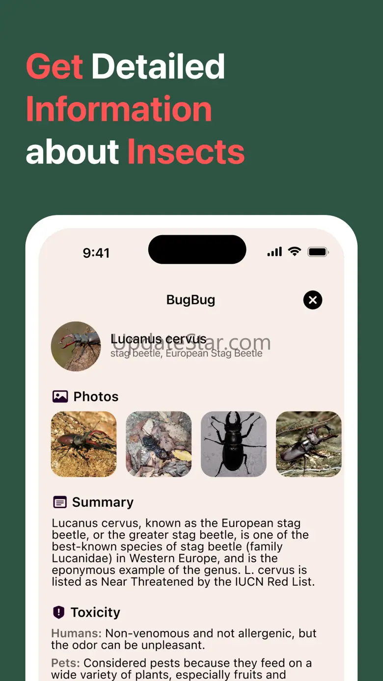 AI Insect Identifier: BugBug 1.2