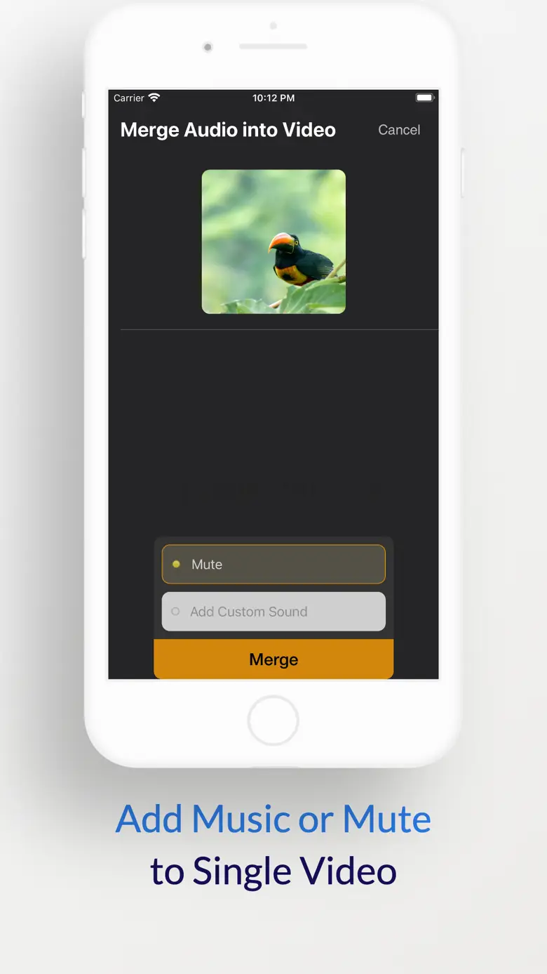 Merge Video Files 1.6