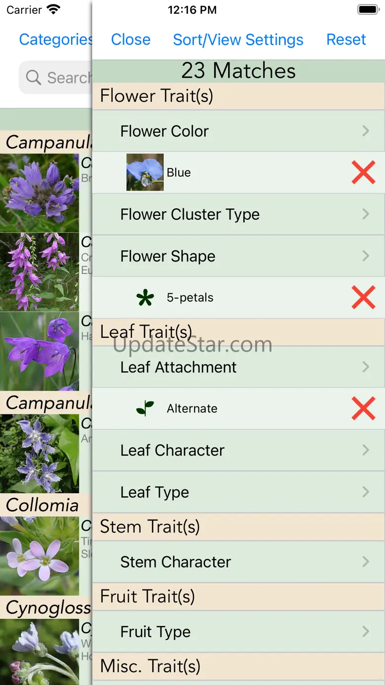 Minnesota Wildflowers Info. 1.3.9