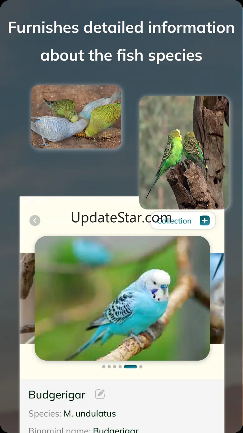 Bird Detect 1.0.1