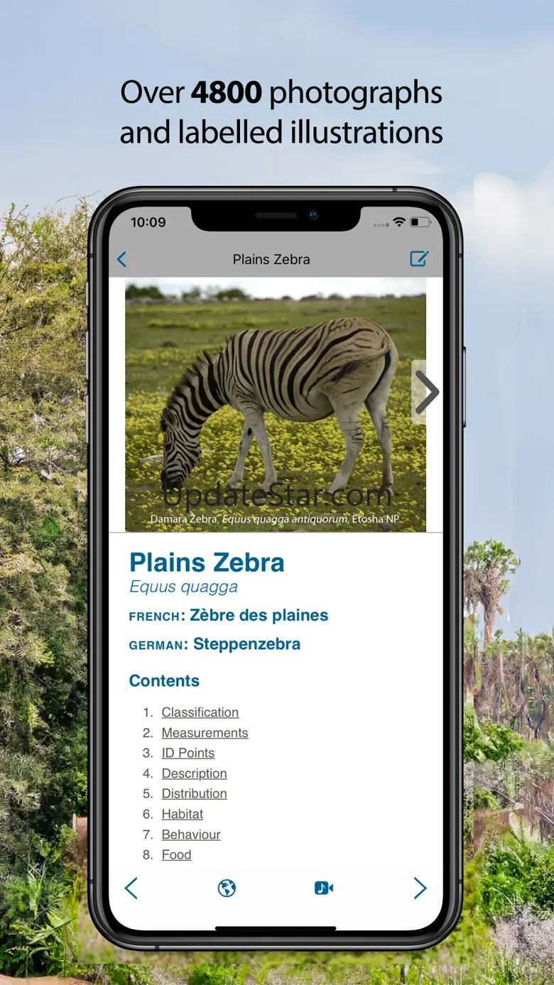 Stuarts’ African Mammals 1.2.2
