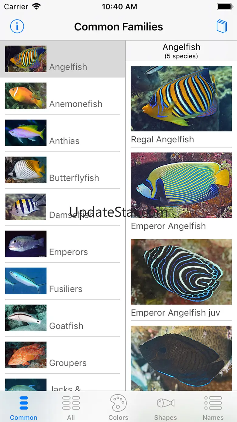 Deep Blue Divers Fish Guide 2.89