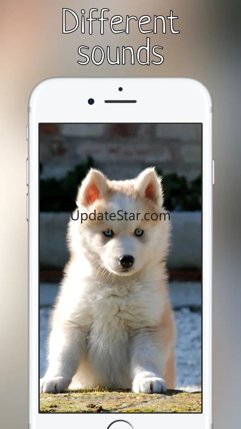 Woof Growl Dog bark 1.0