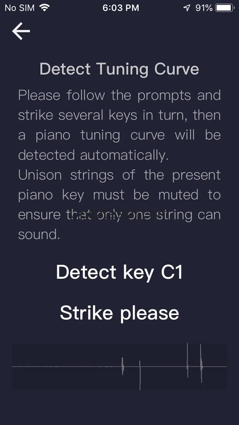 Piano Tuner(Home Edition) 2.5
