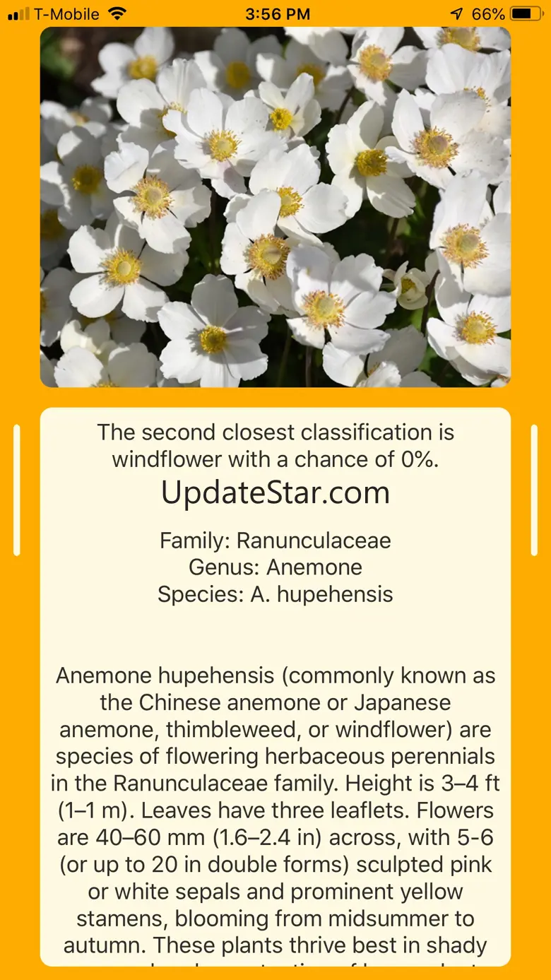 Daiscover 1.0