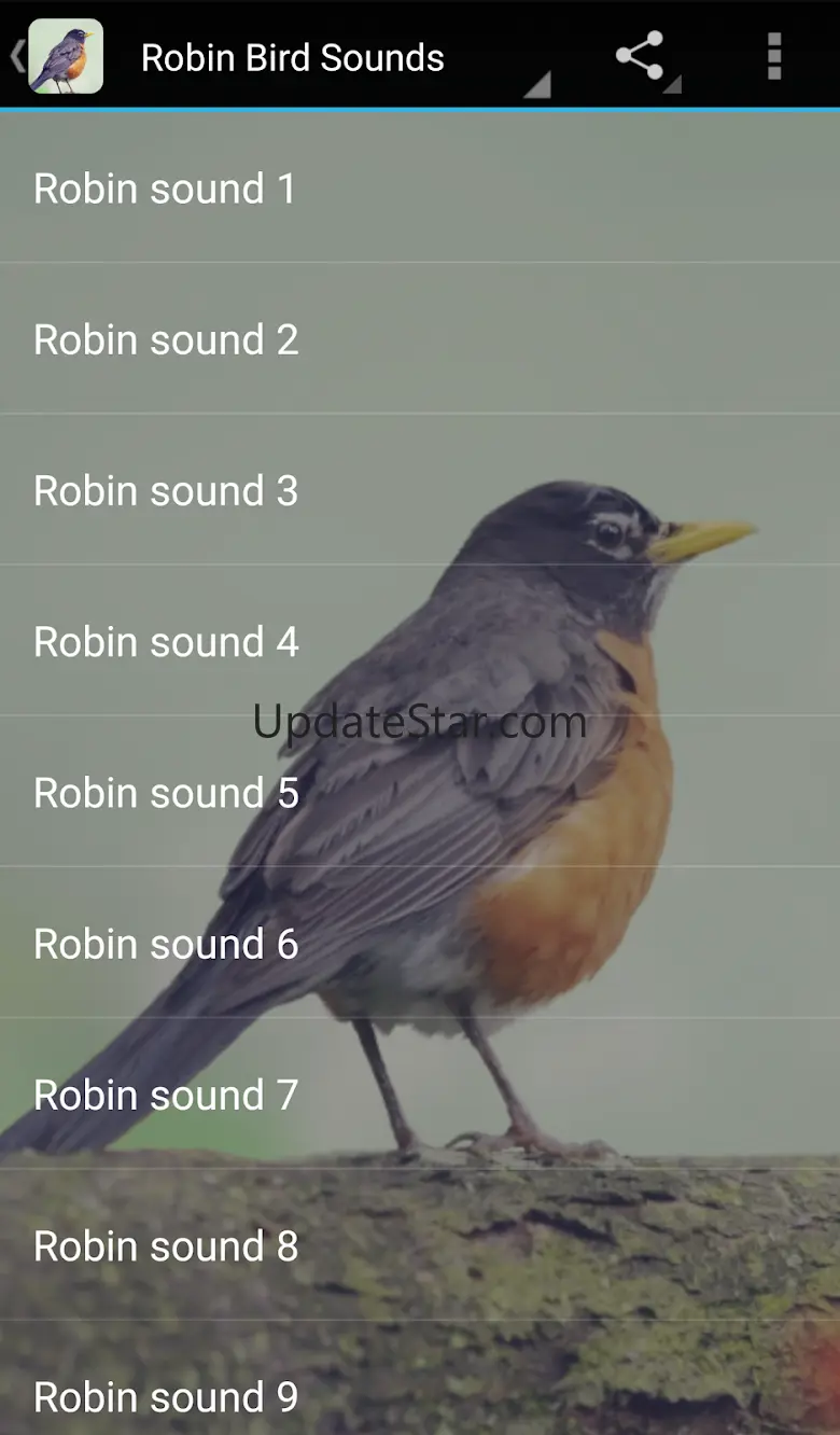 Robin Bird Sounds 2.0