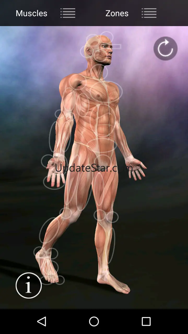 Muscle Trigger Point Anatomy 2.5.2
