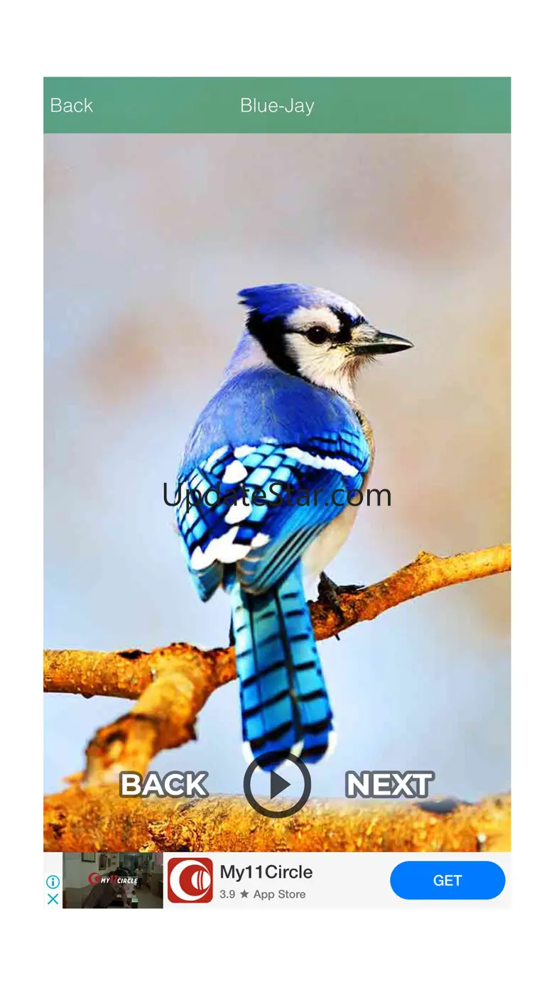 Funny Sound - Animal - Birds 1.3.1