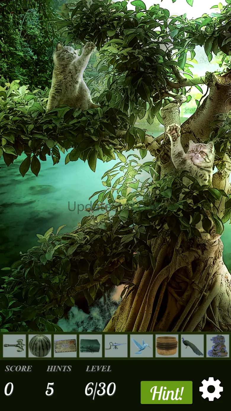 Hidden Object - Cats Island 1.0