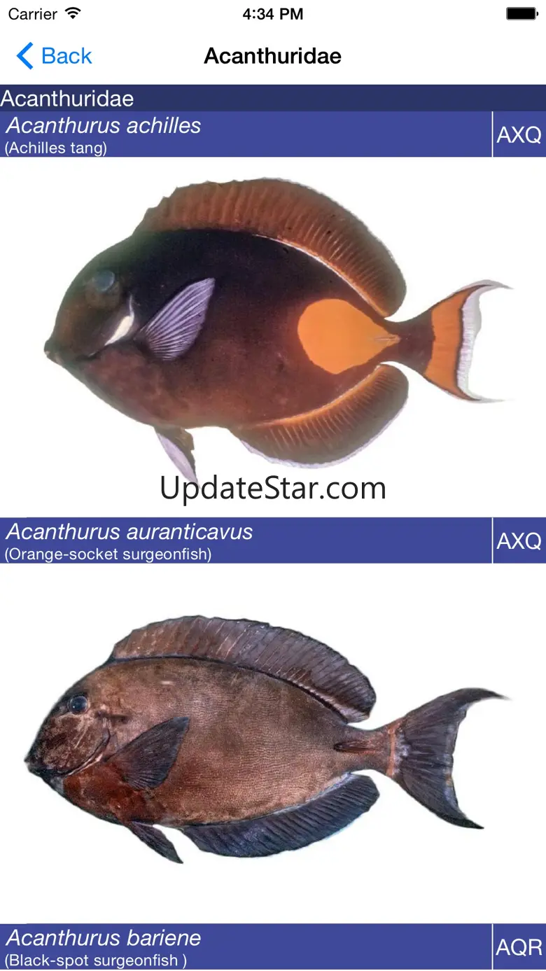 PacFishID 1.1.1