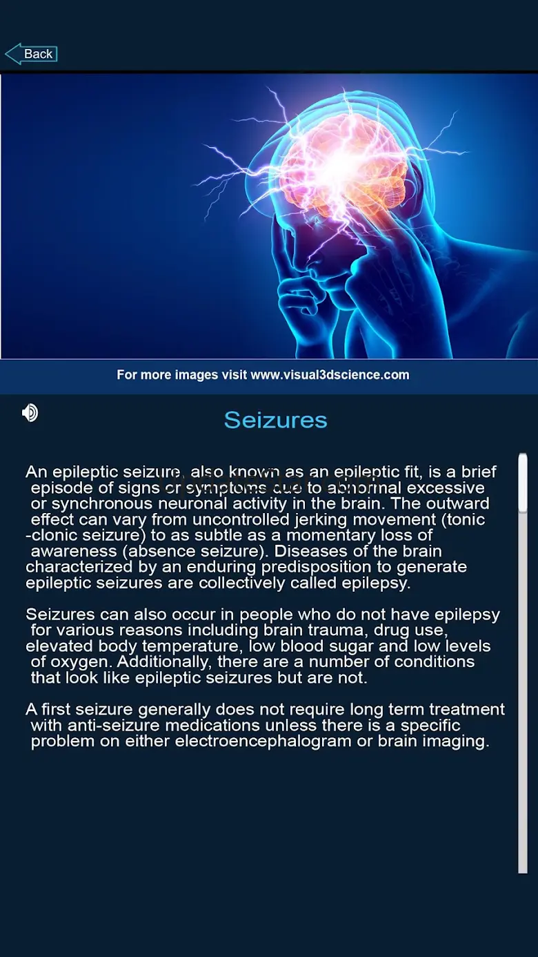 Nervous System Anatomy Pro. 2.4