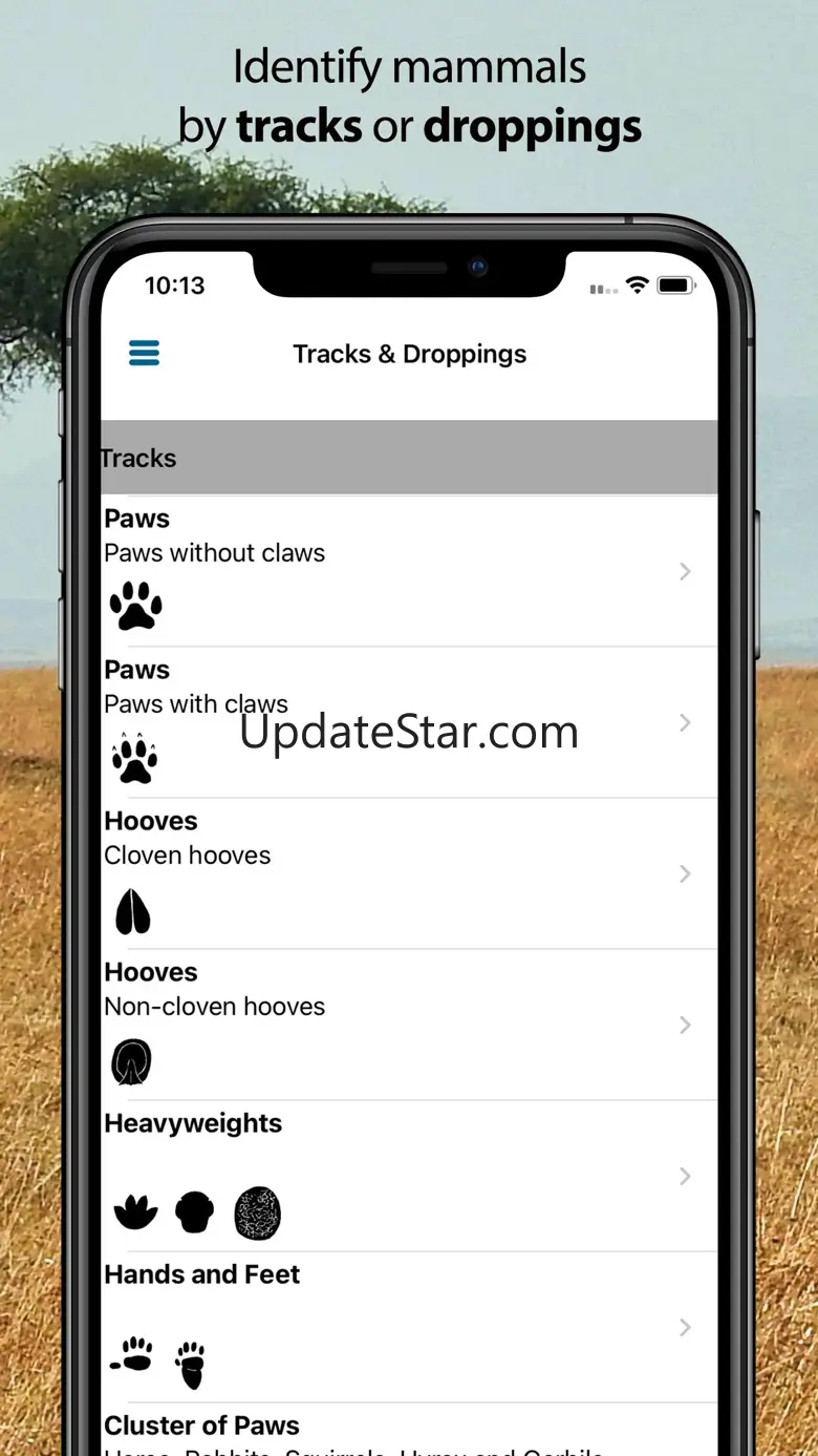 Stuarts' SA Mammals 1.1.2
